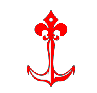 VegaRing Trauma Help